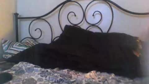 Snapshot of jimz169 chatting on April 27, 2026, 12:08 am Jimz14u online show from April 27, 2026, 12:08 am
