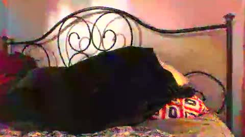 Snapshot of jimz169 chatting on June 4, 2026, 12:27 am Jimz14u online show from June 4, 2026, 12:27 am