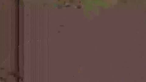 jlk7777 online show from November 19, 2025, 5:29 am