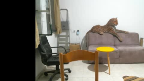 jlmbud online show from October 11, 2025, 10:41 pm