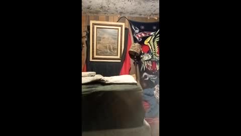 jo575838 online show from April 13, 2026, 12:16 am