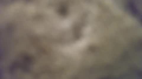 joemomma612 online show from October 14, 2025, 3:40 am