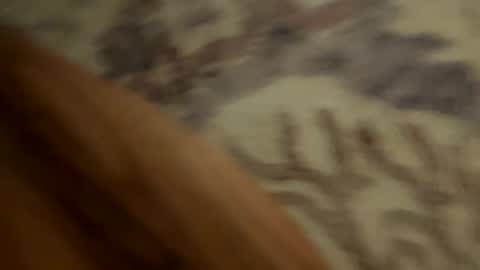 johnny235813 online show from September 18, 2025, 3:52 am