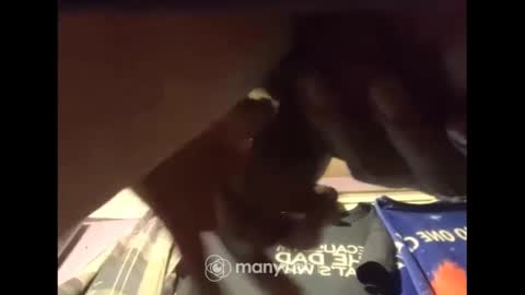 johnnyshung1 online show from December 13, 2024, 7:47 am