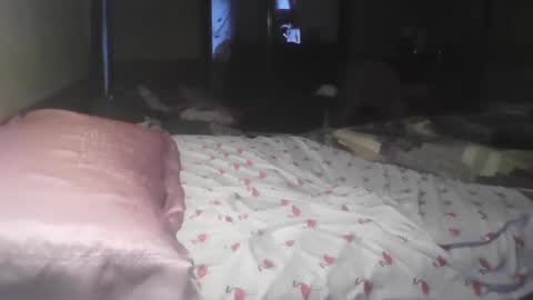 jojosbizarrelyf online show from November 17, 2025, 11:21 pm