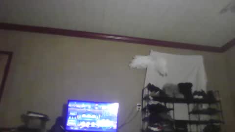 jojosbizarrelyf online show from November 20, 2025, 2:56 am