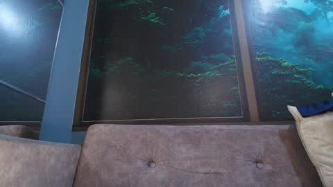 Jonas online show from January 23, 2025, 12:25 am