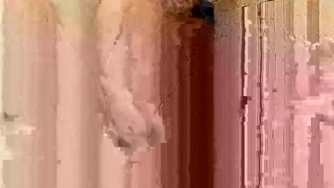 jonathanrossmyers858 online show from January 21, 2025, 3:48 am