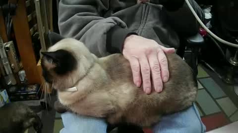 jonsexy1958 online show from January 16, 2025, 6:06 pm