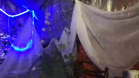 Jony Marta GMT 2000-0100 every day online show from October 16, 2025, 2:51 pm