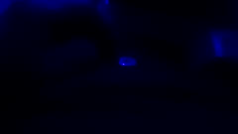 jonyoax2326 online show from January 18, 2026, 5:28 pm