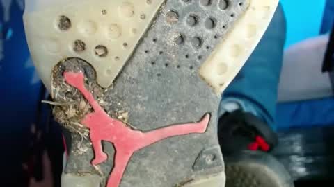 jordan33blake online show from February 13, 2025, 9:06 pm