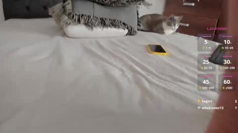 Will online show from March 25, 2026, 11:44 pm