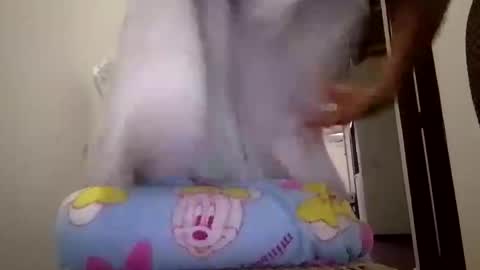 josepheape online show from April 25, 2026, 8:50 pm