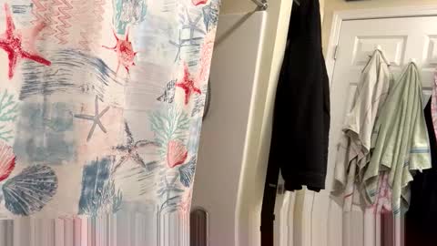 Snapshot of josephung1 chatting on February 3, 2026, 3:37 am sissy josphine online show from February 3, 2026, 3:37 am