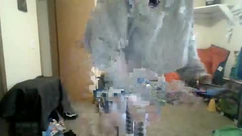 Snapshot of josephung1 chatting on March 3, 2026, 7:20 pm sissy josphine online show from March 3, 2026, 7:20 pm