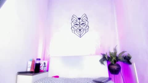 Jose online show from November 13, 2025, 8:41 pm