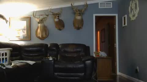 Josh online show from March 26, 2026, 2:28 am