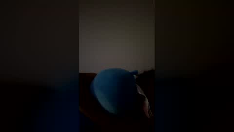 Snapshot of joshua_b11 chatting on March 28, 2026, 6:46 am joshua_b11 online show from March 28, 2026, 6:46 am