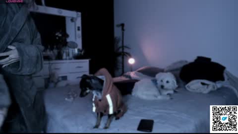 josephine   independent model    online show from January 21, 2025, 5:49 am