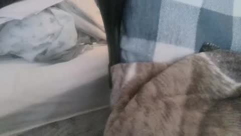 Join My Fan Club To Get To Know Me Better online show from March 9, 2025, 4:11 pm