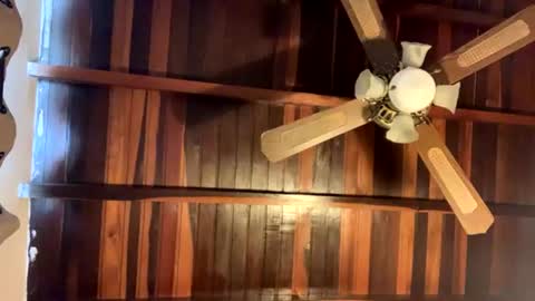 Snapshot of juan_bunny chatting on June 16, 2026, 7:38 pm lJuanl online show from June 16, 2026, 7:38 pm