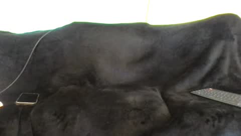 juanmamestre94 online show from October 7, 2025, 1:41 pm