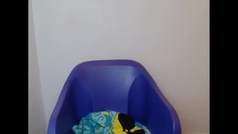 juicyxpink online show from February 21, 2025, 2:16 pm