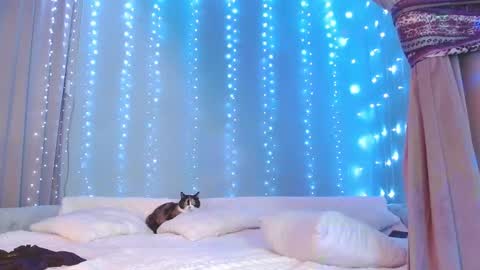 Julia online show from November 29, 2025, 7:22 am