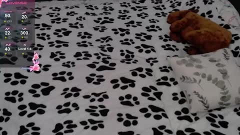 julieqt online show from February 16, 2025, 6:21 am