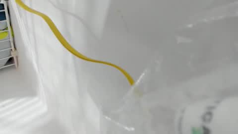 junior_bigcock3 online show from April 25, 2026, 6:49 pm