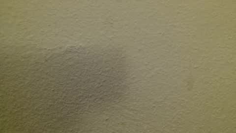 Just marlon online show from February 23, 2025, 8:44 pm