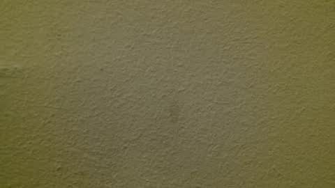 Just marlon online show from March 3, 2025, 2:15 am