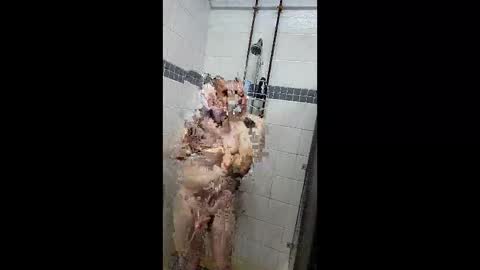 Just a Toy Soldier online show from April 7, 2026, 5:13 pm