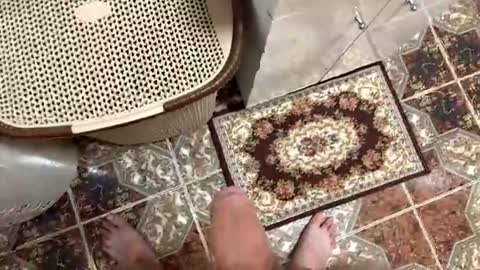 justin950116 online show from December 15, 2025, 7:18 pm