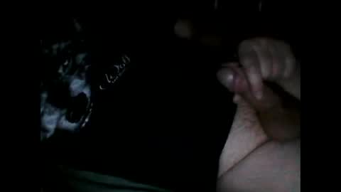 justpervfun online show from December 8, 2024, 6:39 pm