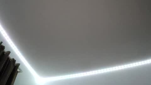 justsetfree online show from November 29, 2025, 9:34 am