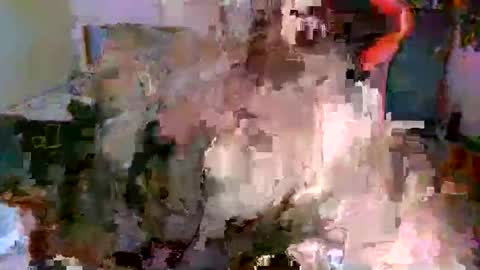 juteja online show from October 13, 2025, 9:15 pm