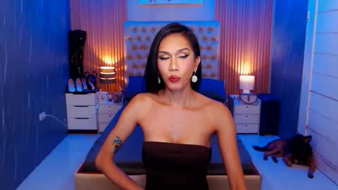 Jynx online show from November 15, 2025, 12:52 am