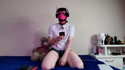 Snapshot of k9_goodboy chatting on June 15, 2026, 6:21 pm Alex online show from June 15, 2026, 6:21 pm