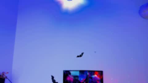 Kaaiiri online show from January 3, 2025, 4:06 pm