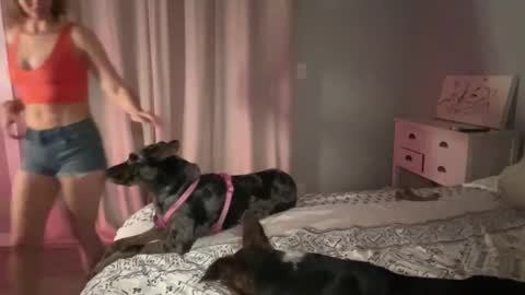 Kailee Smile online show from February 12, 2025, 4:54 am