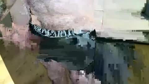 Snapshot of kalem48 chatting on December 22, 2024, 8:27 am MusicMen49 online show from December 22, 2024, 8:27 am