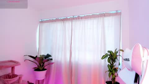 Kali Ka Please help me with your thumbs up its important   dont forget my birthday on October 26 online show from February 19, 2025, 12:22 pm