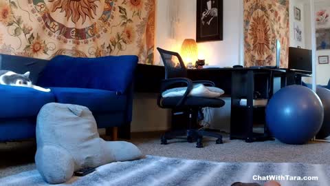 Tara Smith online show from January 14, 2025, 10:02 pm