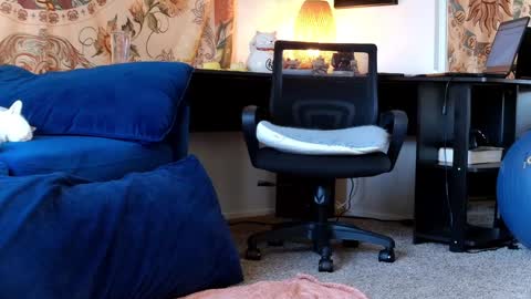 Tara Smith online show from January 30, 2025, 6:54 pm