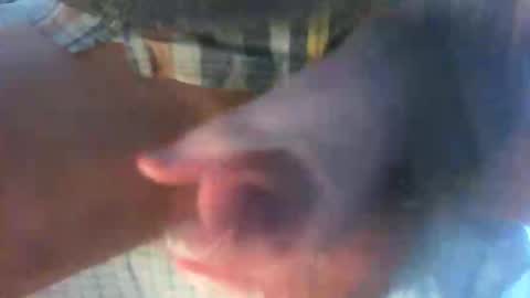 kamabo2 online show from April 7, 2026, 5:35 pm