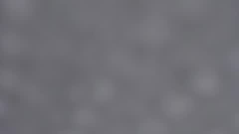 Emma online show from January 23, 2025, 9:08 am