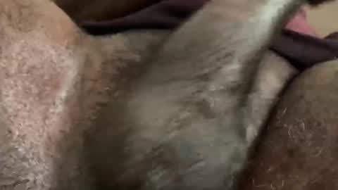 Snookie online show from December 5, 2024, 9:39 am