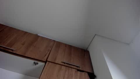 karina_aurora online show from January 11, 2026, 4:28 am